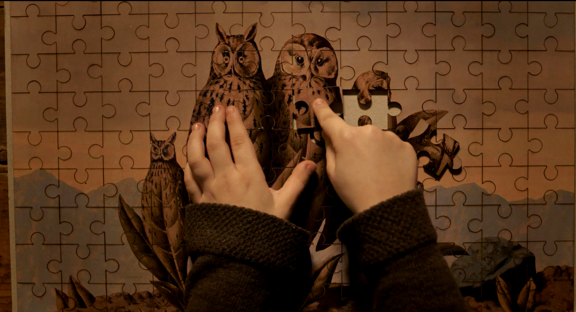Sombras - um filme de Jorge Cramez